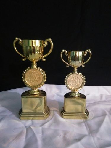 Fiber Champion Trophy