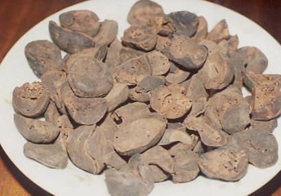 DRIED KOLA NUTS: