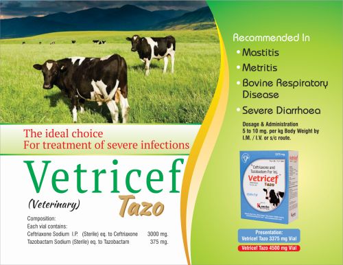 Vetricef Tazo Injection, for Cattles, Form : Liquid