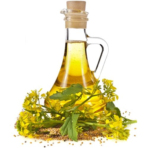 mustard oil