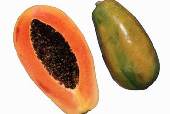 Papaya, Style : Fresh