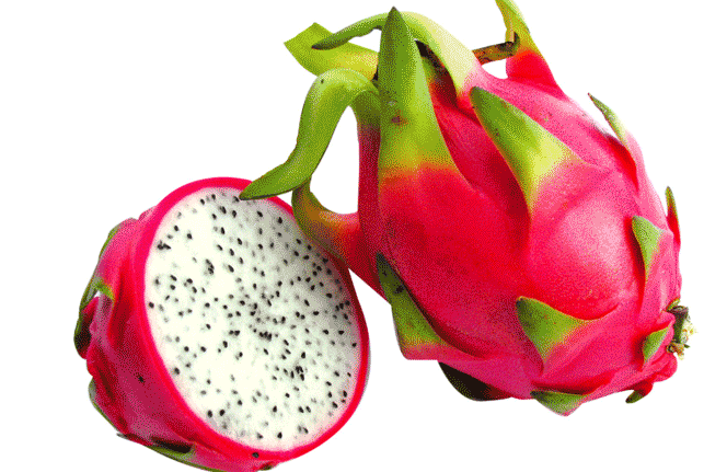 fresh dragon fruit