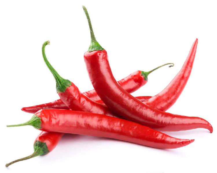 Fresh Red Chili