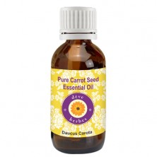 Pure Carrot Seed Essential Oil