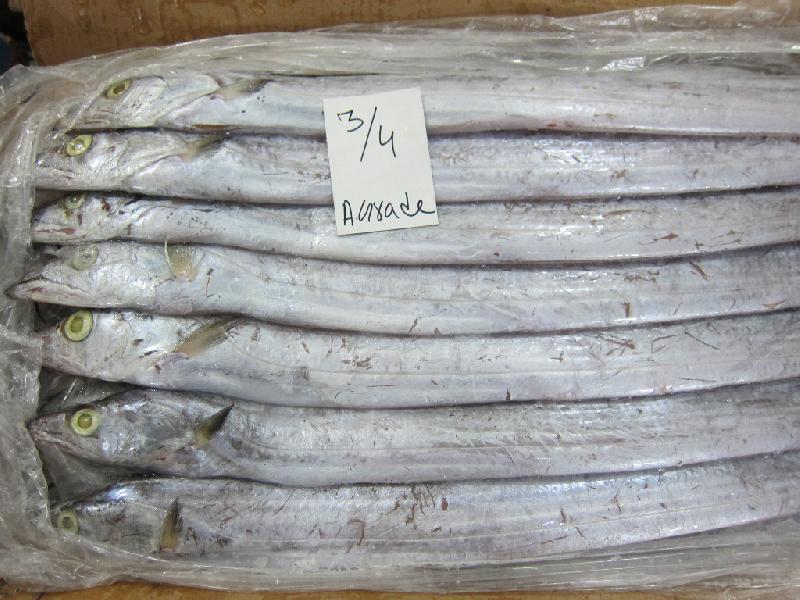 Ribbon Fish Manufacturer in Maharashtra India by ALZOYA OVERSEAS PVT