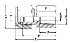 Female Connectors