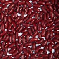 Dark Red Kidney Bean