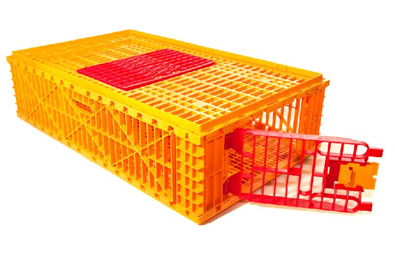 Poultry Transport Cage