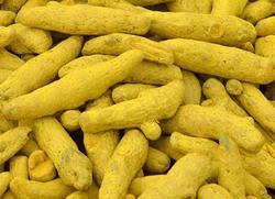 Turmeric finger