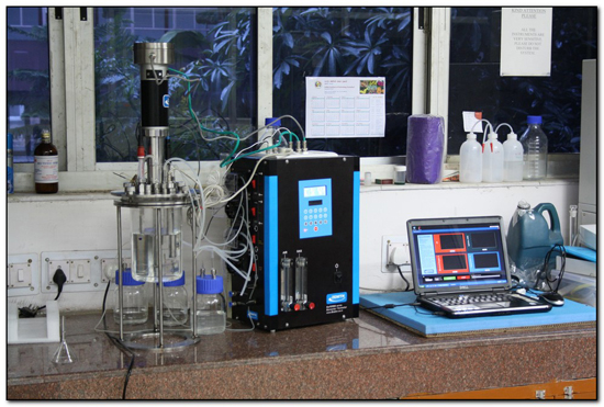 Fermentor And Bioreactors