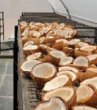 Coconut dryer