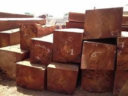 Doussie - Afzelia - Afselia SPP - Bella Africana - LOGS Or TIMBER - LU