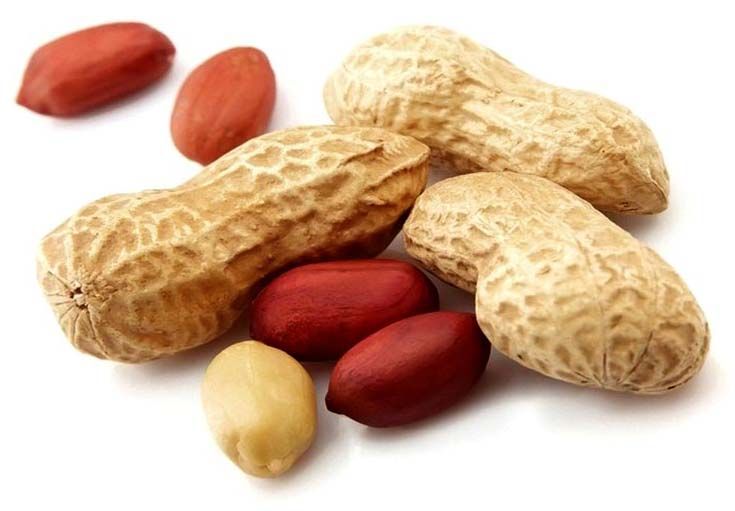 groundnuts