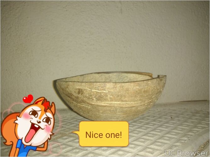 Coconut Shell Ice Cream Cup