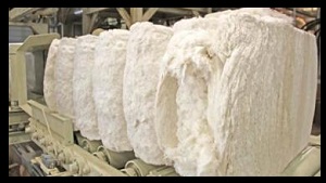 Cotton Yarns