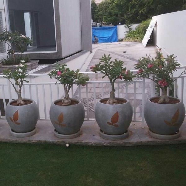 Planter Pot