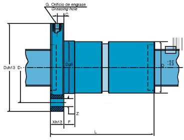 Double Nut with Flange DBS