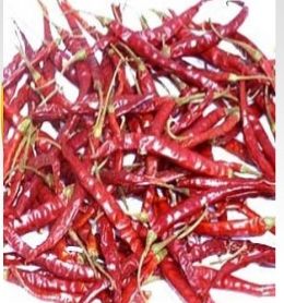 MP GT Sanam Dried Red Chilli