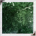 Indian Green Marble