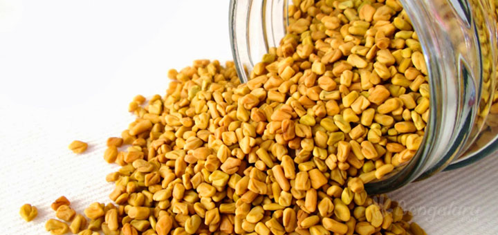 Organic Fenugreek Seeds