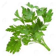 Fresh Parsley Leaves