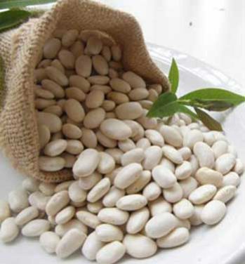 white kidney beans