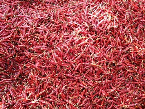 12 No Dried Red Chilli