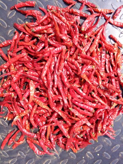Organic 2070 Dried Red Chilli
