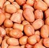 Java Grade Groundnut Kernels