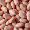 Light Pink Groundnut