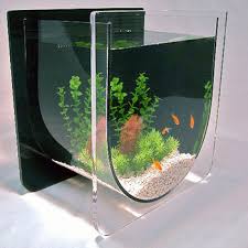 acrylic aquarium