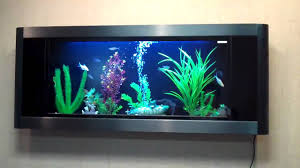Wall mounted aquarium