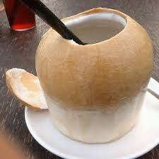 Young Coconut