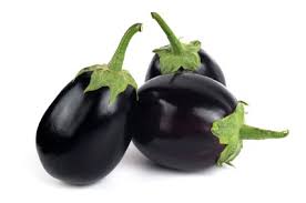 fresh brinjal