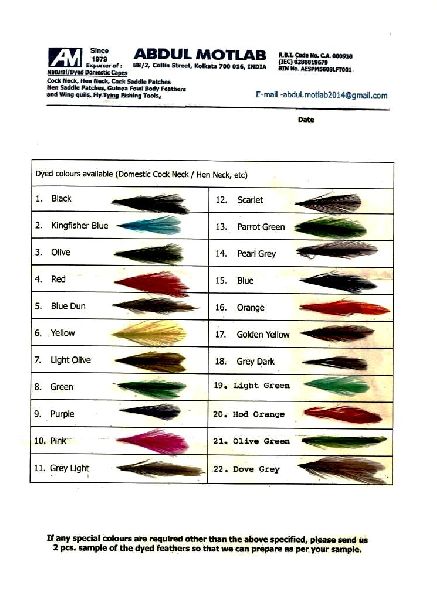 Dyed  Feather