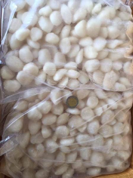 Frozen Scallop Meat