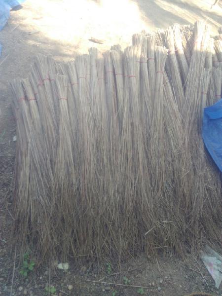 Coconut Brooms, Length : 45