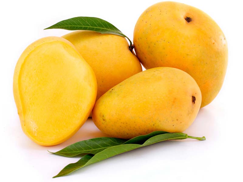 Fresh Mango,fresh mango