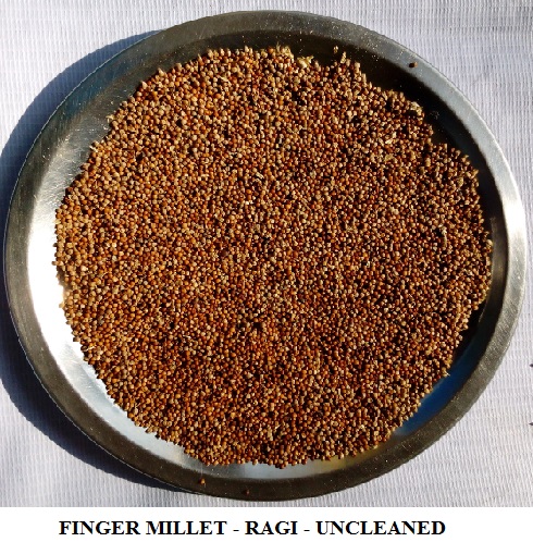 Red Millet - Finger Millet - Ragi