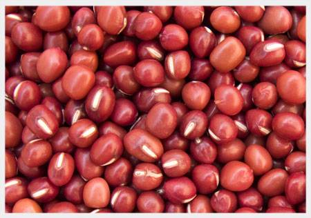 Red Sorghum Seeds