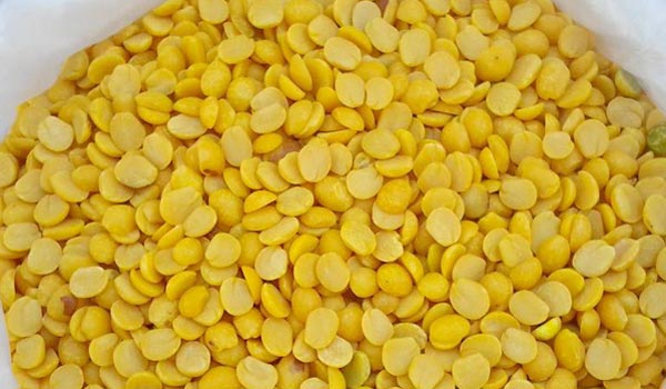 Natural toor dal, for Cooking, Packaging Type : Plastic Packet, Jute bags