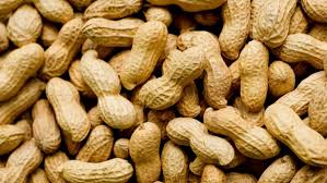 GMO Shelled Peanuts, for Making Flour, Making Oil, Making Snacks, Packaging Type : Gunny Bag, Jute Bag