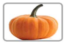 Organic fresh pumpkin, Shelf Life : 15 Days