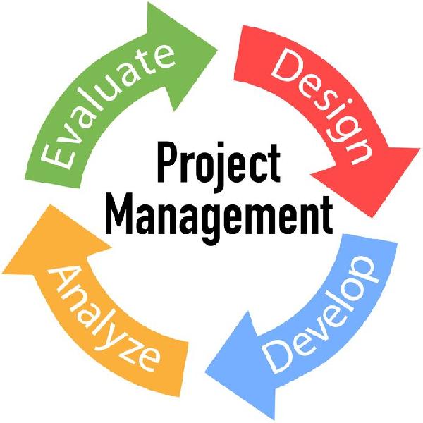 Project Management Consultation