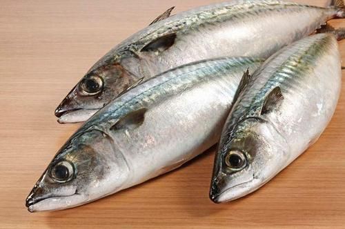 fresh-surmai-fish-bombay-marine-fish-company-mumbai-maharashtra