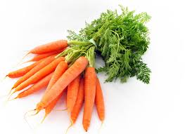 Organic Fresh Carrot, Packaging Type : Carton