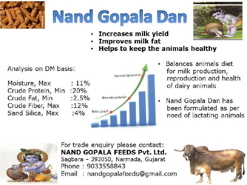Nand Gopala Cattle Feed