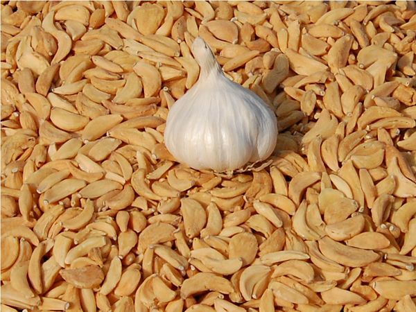 Rajvadi Foods Dehydrated Garlic Flakes