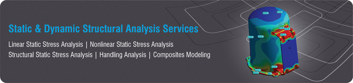 Dynamic Analysis Services