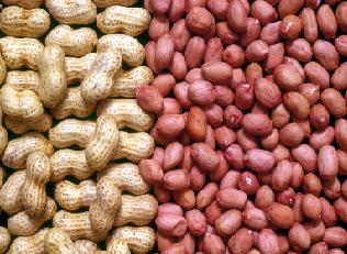 Indian Groundnuts